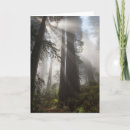 Suche nach redwood karten Kalifornien