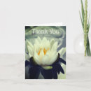 Suche nach lotus blume karten Für alle