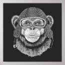 Suche nach chimpanzee poster Niedlich