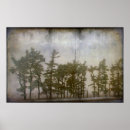 Suche nach winterbaum poster Natur