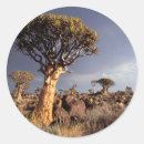 Suche nach tageszeit aufkleber Farbbild