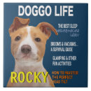 Suche nach pitbull fliesen Pillbulle