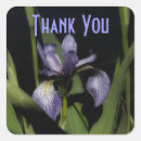 Suche nach lila iris aufkleber Vielen dank