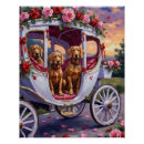 Suche nach vizsla hunde poster Jede person