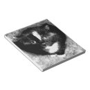 Suche nach niedliche schwarze katze notizblock Tier
