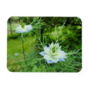 Suche nach kornblumen magnete Für alle