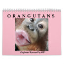 Suche nach affe kalender Borneo