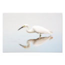 Suche nach ego poster Vogelbeobachtung