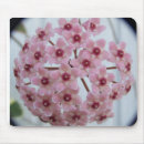 Suche nach tricolor mousepads Blume