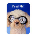 Suche nach pudel magnete Niedlich