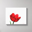 Suche nach tulpen leinwandbilder Lila
