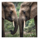 Suche nach elefant liebe poster Niedlich
