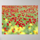 Suche nach roter rahmen poster Blume
