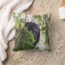 Suche nach weißkopfseeadler kissen Wald