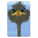 Suche nach vogel strauß magnete Niedlich