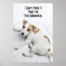 Suche nach jack russell terrier poster Niedlich