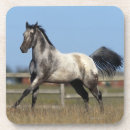 Suche nach appaloosa untersetzer Laufen