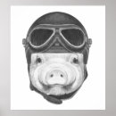 Suche nach niedliches ferkel poster Schweine