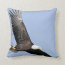 Suche nach raubvogel kissen Adler