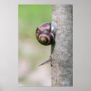 Suche nach schnecke poster Schlampe