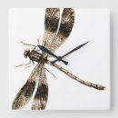 Suche nach wanzen kunst Libelle