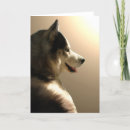 Suche nach siberian husky karten Jungtier