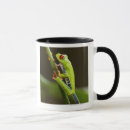 Suche nach rote augen tassen Frosch