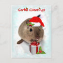 Suche nach gerbil postkarten Niedlich
