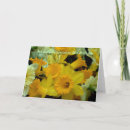 Suche nach jemand speziell karten Für sie