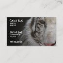 Suche nach weißer sibirischer tiger Wild lebende tiere