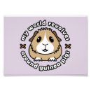 Suche nach piggy poster Piggies