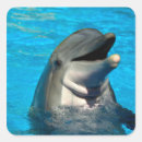 Suche nach säugetiere aufkleber Wild