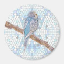 Suche nach budgie magnete Parkett