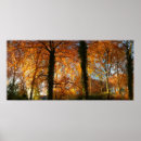 Suche nach rochen poster Herbst