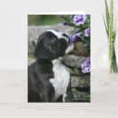 Suche nach keuchen karten Hund
