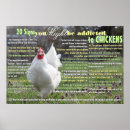 Suche nach lustiges huhn poster Hühner