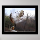 Suche nach landscape photography poster Autumn
