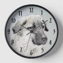 Suche nach hirten wanduhren Welpe