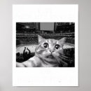 Suche nach bully poster Torwart