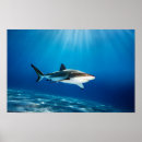 Suche nach tiefes blau poster Wasser