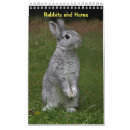 Suche nach kaninchen kalender Hase
