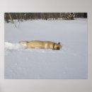 Suche nach kalte temperatur poster Winter
