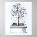 Suche nach der baum des lebens poster Pflanze