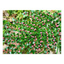 Suche nach schrein poster Grün