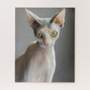 Suche nach feline puzzle Kätzchen