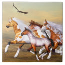 Suche nach herd fliesen Wildpferde