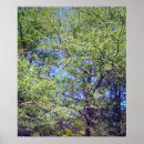 Suche nach lärche poster Bäume