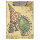 Suche nach muschel klemmbrett Küste