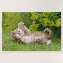 Suche nach kätzchen puzzle Für sie
