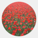 Suche nach pflücker aufkleber Mohn